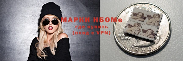 хмурый Краснослободск